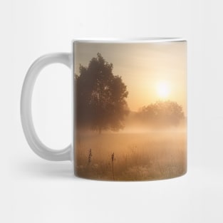 Sunrise over a green meadow fog rises in the summer Mug